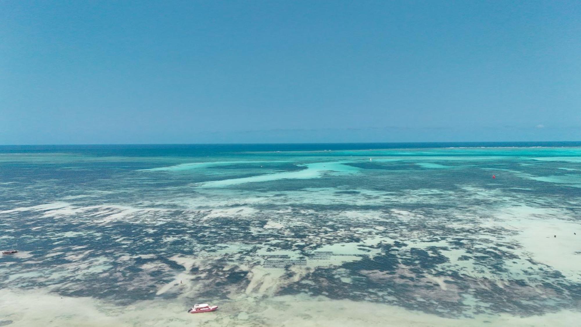 Pili Pili Tropical Beach جامبياني المظهر الخارجي الصورة