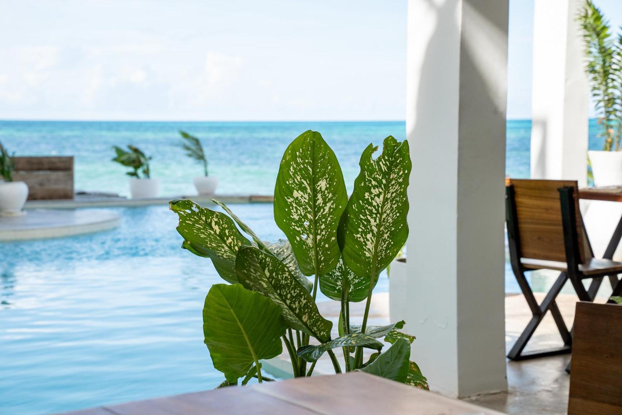 Pili Pili Tropical Beach جامبياني المظهر الخارجي الصورة